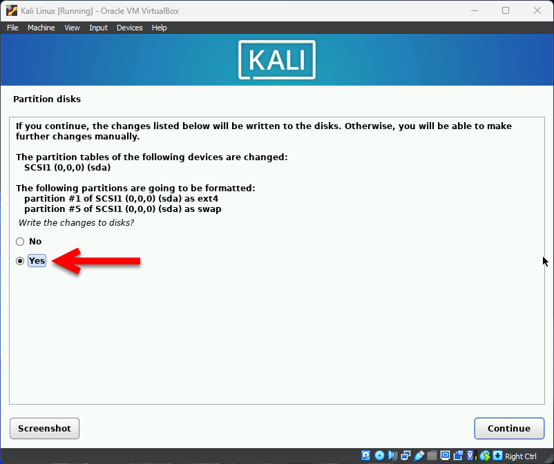 Partition format