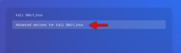 Advanced options for Kali GNU/Linus