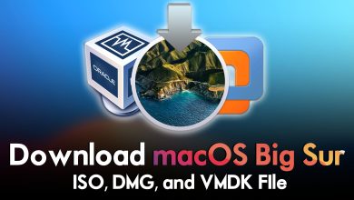 Download macOS Big Sur ISO, DMG, and VMDK Files