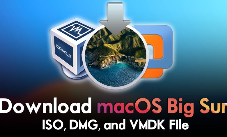 Download macOS Big Sur ISO, DMG, and VMDK Files