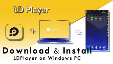 How to Download & Install LDPlayer on Windows PC?