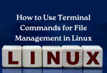 File Management In Linux
