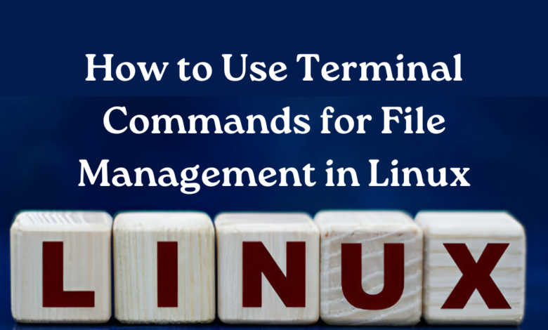 File Management In Linux