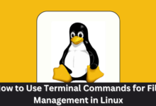 How to Use Terminal Commands for File Management in Linux
