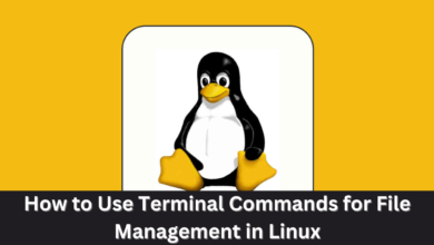 How to Use Terminal Commands for File Management in Linux