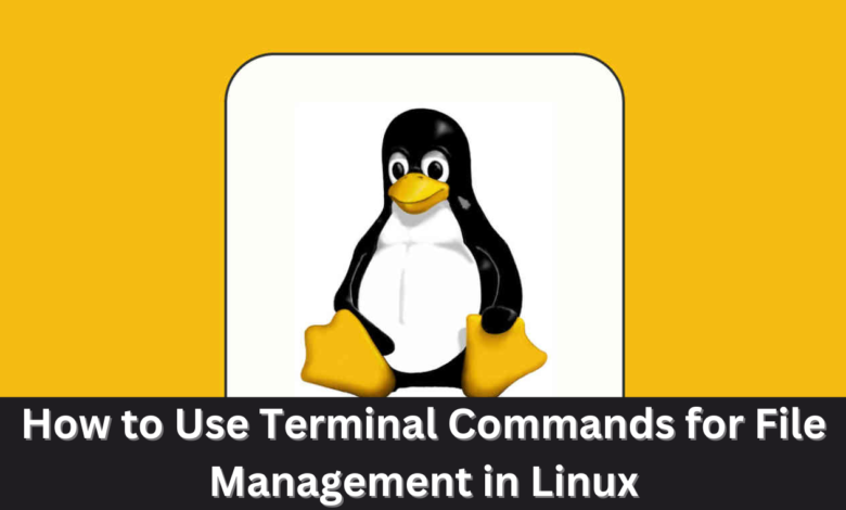 How to Use Terminal Commands for File Management in Linux