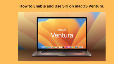 How to Enable and Use Siri on macOS Ventura.