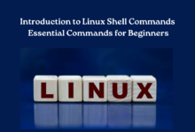 Introduction to Linux Shell Commands Essential Commands for Beginners