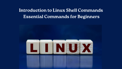 Introduction to Linux Shell Commands Essential Commands for Beginners